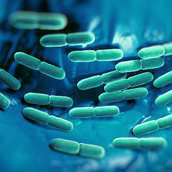 10 things to know about probiotics