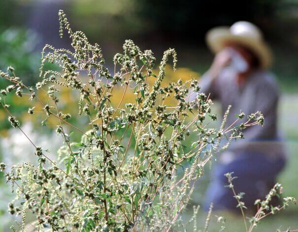 woman in garden with allergies