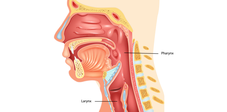 Laryngite Pharyngite Symptômes Causes Et Traitement