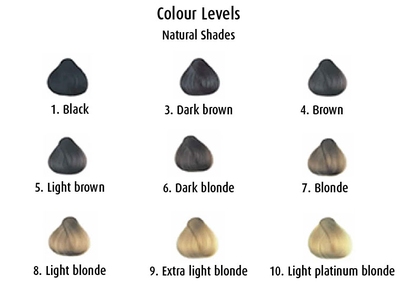 Hair Color Levels 1 10 Chart